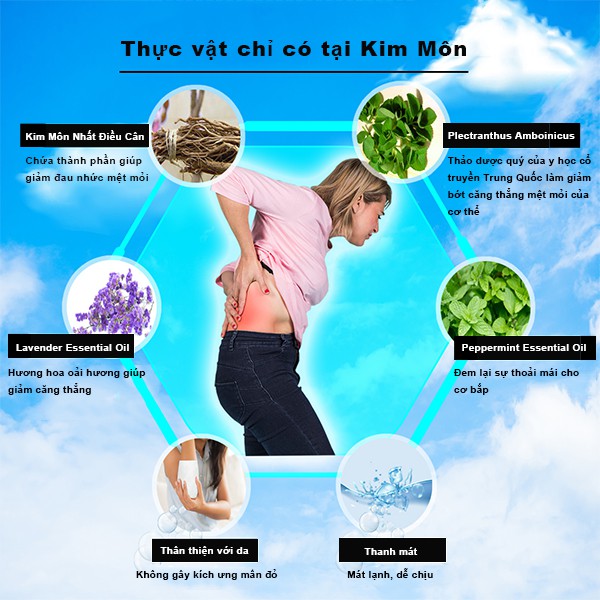Đại lý thương hiệu Đài Loan｜Cao dán Nhất Điều Căn｜Yue Pin HUI